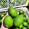 云南哈斯牛油果自然成熟，入口滑润柔糯 商品缩略图1