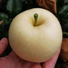 山东奶油富士苹果 | 甜如蜜糖，自带奶油香 商品缩略图2