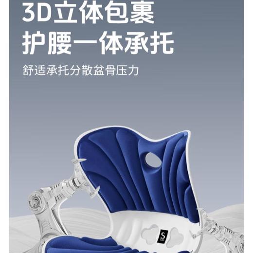 思菲其包裹小款坐垫 商品图2