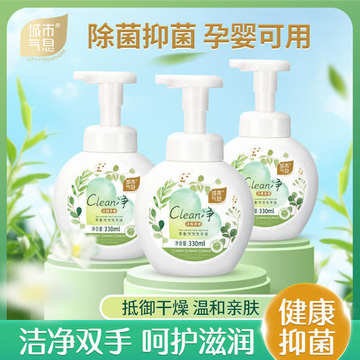城市气息 茶香泡泡洗手液 商品图0