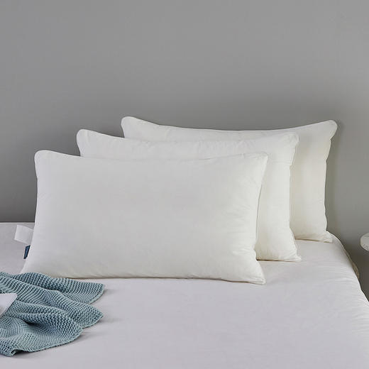 罗莱T 经典阻螨抗菌科技柔丝枕 47×73cm 商品图0