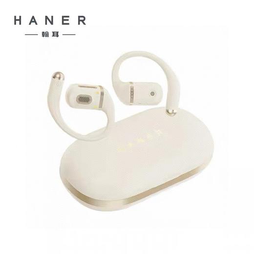 纯元！Z品单！HANEM耳机！ 商品图2