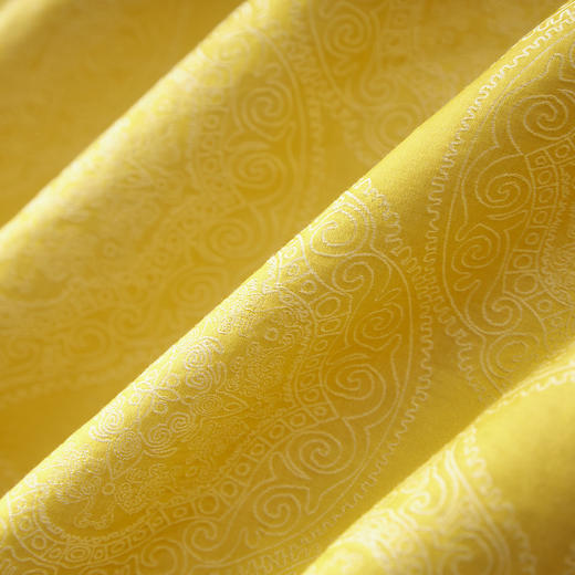 「高货wl」全新升级【铂金会员284/天猫379/差价95】(45342)洛诗琳气质正反两穿提花马甲2025夏季香云纱国风显瘦上衣 商品图2