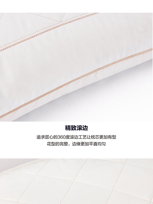 罗莱T 尊享纤维蚕丝枕 46×72cm 商品图2