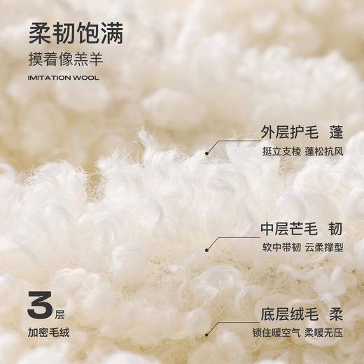 【可机洗懒人皮草】三彩独醒2025冬季新款仿麂皮环保毛毛外套F 商品图4