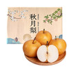 【山东秋月梨】 产地现摘现发新鲜到家  新鲜酥脆 清甜可口 皮薄多汁 秋冬当季滋补水果  送礼团购彩箱礼盒 商品缩略图11