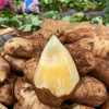 【云南雪莲果】地下生长的水果 清甜脆爽 当季新鲜水果 现挖现发 2种规格任选 商品缩略图0