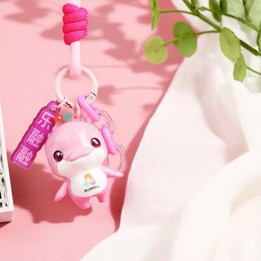 2025十五运会吉祥物立体饰扣 国潮礼品送 礼物 钥匙扣立体挂件 商品图2