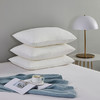 罗莱T 经典阻螨抗菌科技柔丝枕 47×73cm 商品缩略图4