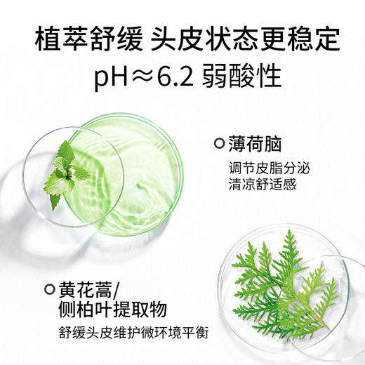 蔚雨堂二硫化硒头皮净化洗发水300ml   控油去屑防断发  抑制马拉色菌  拒绝油屑痒 商品图2