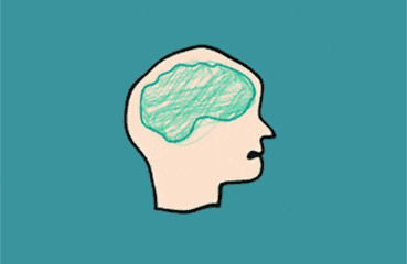 哪个器官对寿命影响最大？