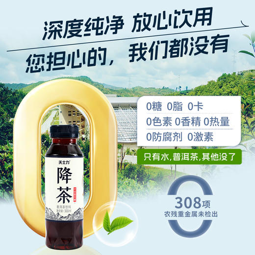 天士力降茶普洱无糖纯茶饮料0糖0卡0脂高倍茶褐素饮品300ml*24瓶 商品图1
