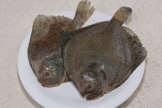 海捕多宝鱼 商品图0