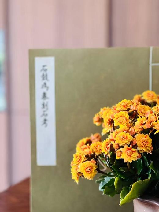 绝版！！《石鼓为秦刻石考》，马衡著，8开（37.5*26cm），线装，艺文印书馆70年代据民国20年刊本影印（无版权页）。售价501元 商品图1