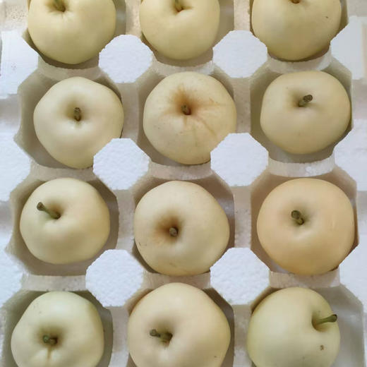 山东奶油富士苹果 | 甜如蜜糖，自带奶油香 商品图3