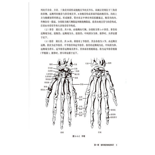 施氏骨伤康复诊疗技术 龚秀英 主编 本书可供中西医临床医师 医学院校师生及科研工作者参考 9787521452440 中国医药科技出版社 商品图4