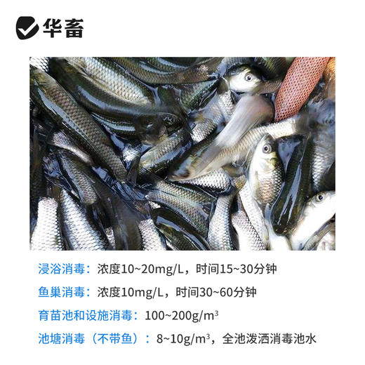 华畜 高锰酸钾500g 杀菌消毒 针对病毒真菌细菌 畜禽 水产通用 商品图1