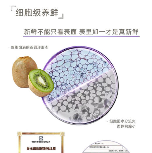 卡萨帝（Casarte）冰箱 BCD-703WGCSSM9CSU1 商品图6