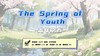 Lesson124：《The Spring of Youth》 商品缩略图0
