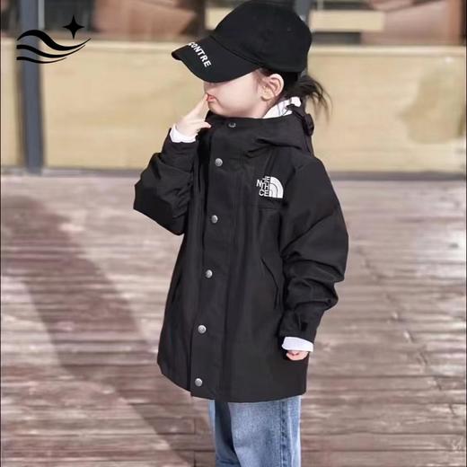 TNF1990冲锋衣！！无惧风雨 超经典 男女款/儿童款 商品图1