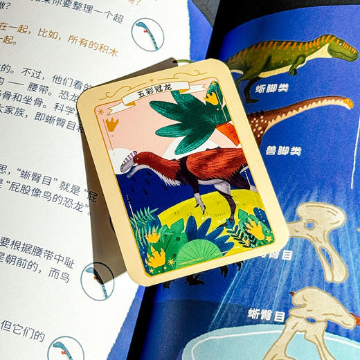 寻龙中国 附赠精美卡片 恐龙历史科普绘本 上海自然博物馆中国恐龙展 商品图12