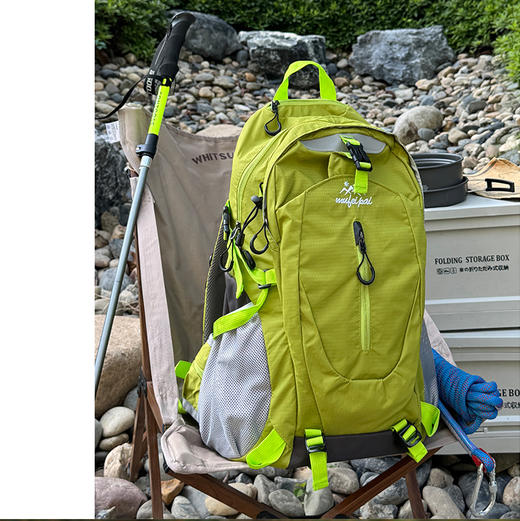 飞莎/男女户外大容量专业徒步登山包 商品图7