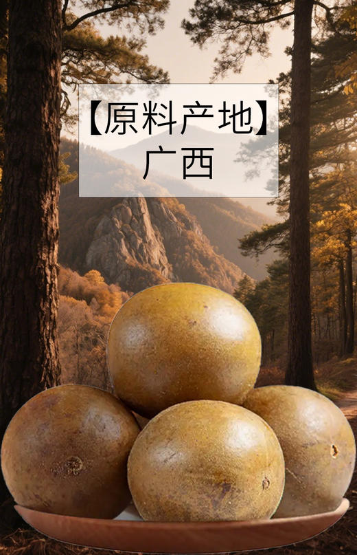 SC    罗汉果    4个/板   有效期20270102 商品图4