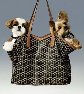 重磅小众！canvasTote新款购物袋  自重超轻  皮革涂层托特包  小众不撞款！