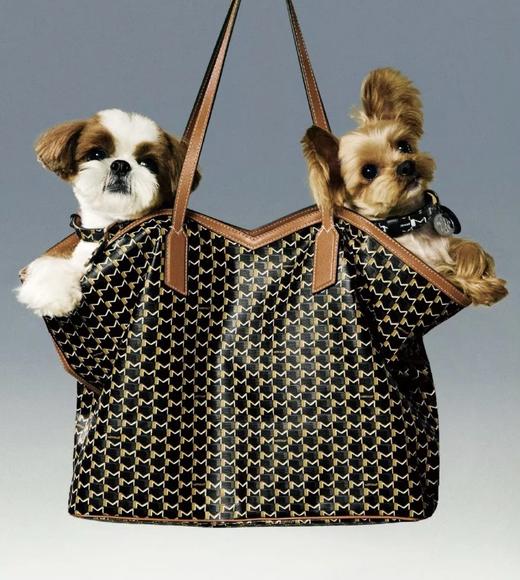 重磅小众！canvasTote新款购物袋  自重超轻  皮革涂层托特包  小众不撞款！ 商品图0