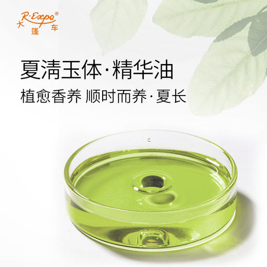 夏淸玉体·精华油 植物精油原料批发芳疗护理SPA按摩植愈康养护肤 商品图1