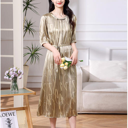 丁摩 真丝连衣裙女装夏季新款缎面优雅宽松收腰气质真丝A字潮裙子5ZF-8562 商品图4