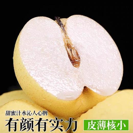 金士酒庄昌黎皇冠梨10斤/箱，味甜可口 仅限集团第一、第二、第三产业园区 商品图3