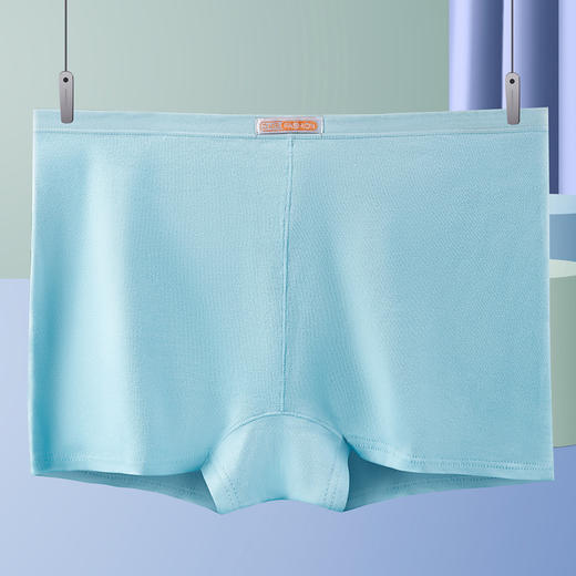 雀说5条装平角女士内裤纯棉四角裤纯棉防走光中腰打底安全裤棉质内裤AL648 商品图3