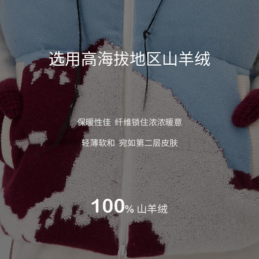 羊绒提花鹅绒羽绒服  SJF97W293N 商品图1