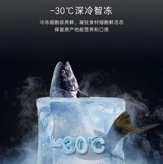 卡萨帝（Casarte）冰箱 BCD-519WGCTDM4DCU1 商品图7