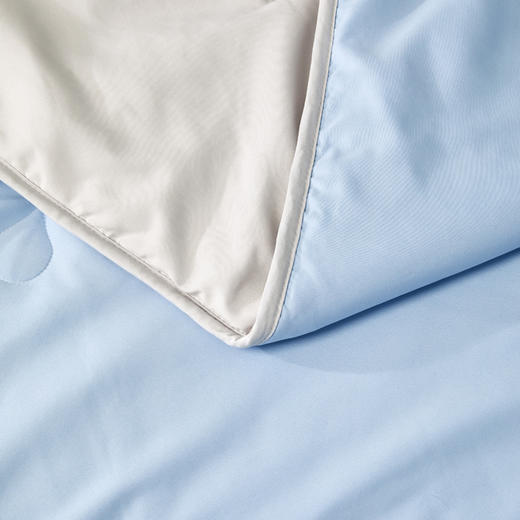 罗莱T 辽安青丝·丝锦A类抗菌蚕丝四季被 蓝色  200×230cm 商品图3