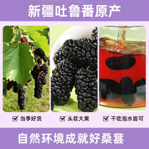 【小符老师推荐】[精选]  新疆特级桑葚干 桑果之乡 2025年新果自然晾晒 免洗无沙 即食泡水泡酒 商品图3