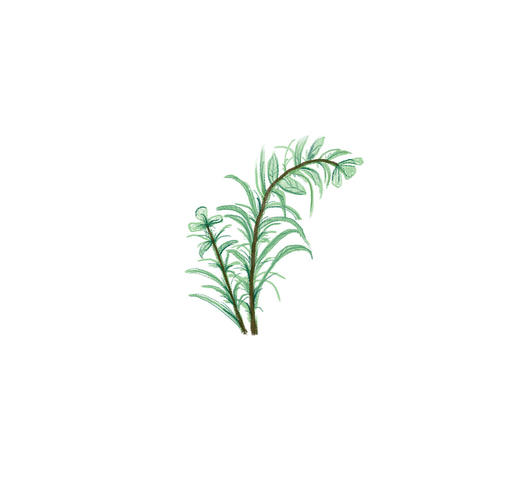 极简护肤 商品图0