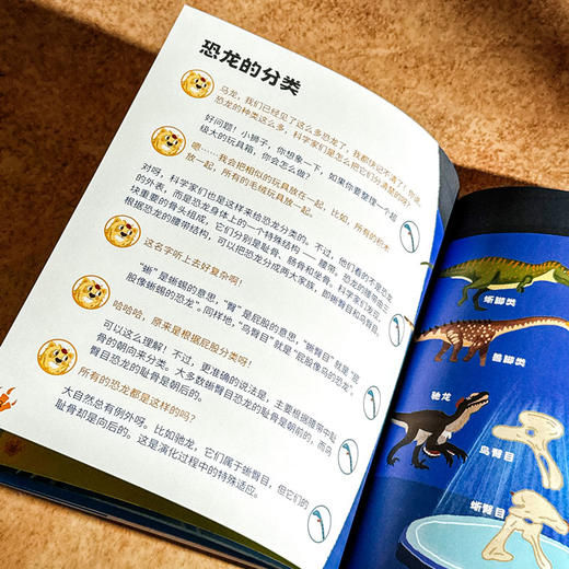 寻龙中国 附赠精美卡片 恐龙历史科普绘本 上海自然博物馆中国恐龙展 商品图11