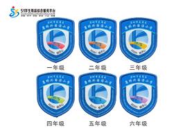 定制深圳市龙岗区康桥外国语小学校徽定做礼服布标姓名缝制包邮51