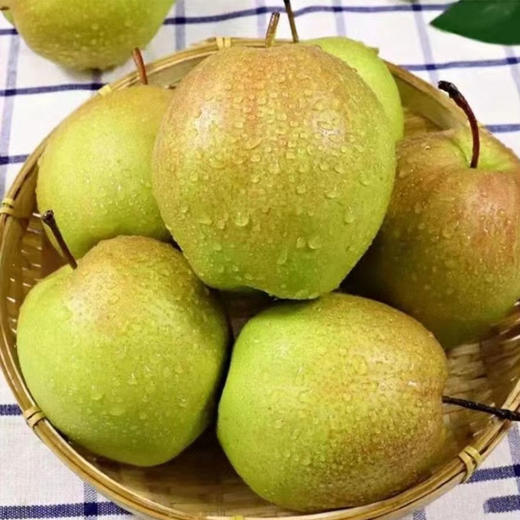【果园直发】玉露香梨 精选大果 脆甜多汁 商品图6
