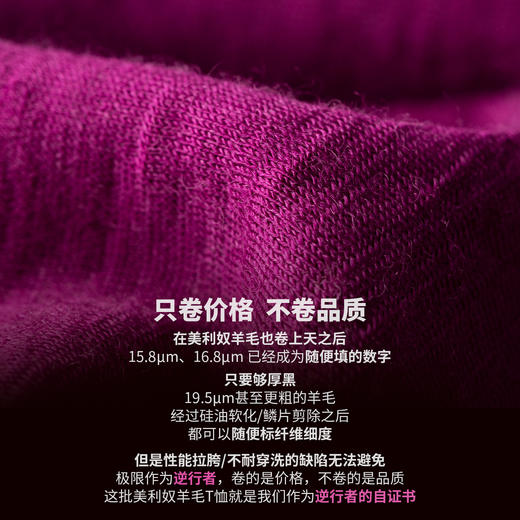 女美利奴羊毛网眼宽松短袖徒步爬山美丽诺速干衣户外运动T 商品图1