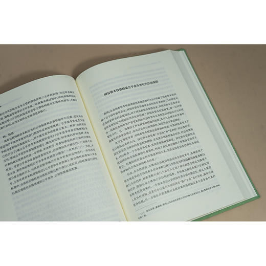 公平竞争审查：法治理论与中国方案 孙晋等著 法律出版社 商品图2