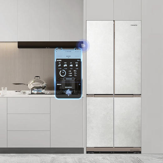 卡萨帝（Casarte）冰箱 BCD-501WGCTDM4GDU1 商品图9