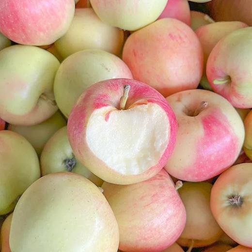 【十堰主城区包邮】新鲜水果 松脆多汁陕西新苹果 3斤装 商品图0