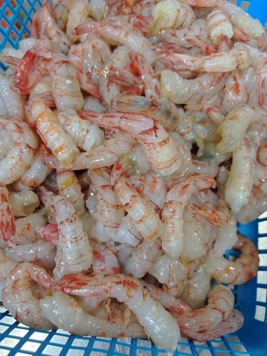 & 手工现剥樱花虾仁，零添加剂❌营养高，非常鲜甜[哇]活冻 商品图4