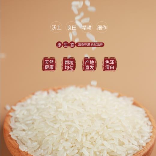 【每周五发货】2025年新米 有机五常稻花香大米10斤装 商品图1