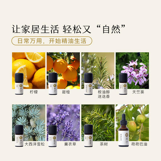 枕草子 家居精油盒子 · 4.0 商品图3