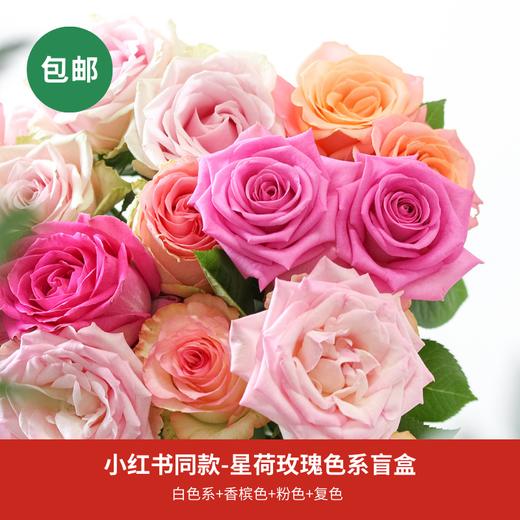 【方德色系玫瑰合集】10扎 单个色系品种随机 顺丰包邮  昆明发货 商品图0