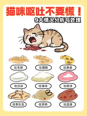 ❓❗猫咪呕吐不要慌❗